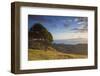 View of Firth of Thames, Coromandel Peninsula, Waikato, North Island, New Zealand, Pacific-Ian-Framed Photographic Print