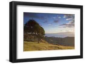 View of Firth of Thames, Coromandel Peninsula, Waikato, North Island, New Zealand, Pacific-Ian-Framed Photographic Print