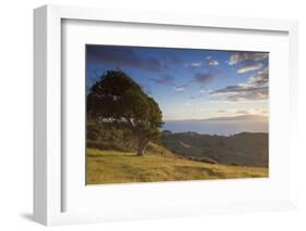 View of Firth of Thames, Coromandel Peninsula, Waikato, North Island, New Zealand, Pacific-Ian-Framed Photographic Print