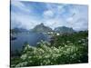 View of Fishing Village and Island-Kevin Schafer-Stretched Canvas