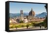 View of Florence from Boboli Gardens, Florence (Firenze), Tuscany, Italy, Europe-Nico Tondini-Framed Stretched Canvas