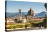 View of Florence from Boboli Gardens, Florence (Firenze), Tuscany, Italy, Europe-Nico Tondini-Stretched Canvas