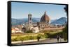 View of Florence from Boboli Gardens, Florence (Firenze), Tuscany, Italy, Europe-Nico Tondini-Framed Stretched Canvas