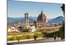 View of Florence from Boboli Gardens, Florence (Firenze), Tuscany, Italy, Europe-Nico Tondini-Mounted Photographic Print