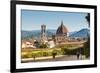 View of Florence from Boboli Gardens, Florence (Firenze), Tuscany, Italy, Europe-Nico Tondini-Framed Photographic Print