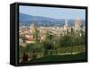View of Florence from Boboli Gardens, Florence, Tuscany, Italy, Europe-Tondini Nico-Framed Stretched Canvas