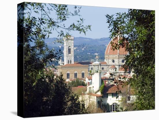 View of Florence from Boboli Gardens, Florence, Tuscany, Italy, Europe-Tondini Nico-Stretched Canvas