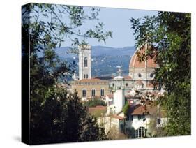 View of Florence from Boboli Gardens, Florence, Tuscany, Italy, Europe-Tondini Nico-Stretched Canvas