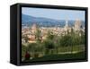 View of Florence from Boboli Gardens, Florence, Tuscany, Italy, Europe-Tondini Nico-Framed Stretched Canvas