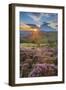 View of flowering heather on Stanage Edge and Hope Valley at sunset, Hathersage-Frank Fell-Framed Photographic Print