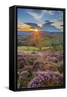 View of flowering heather on Stanage Edge and Hope Valley at sunset, Hathersage-Frank Fell-Framed Stretched Canvas