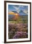 View of flowering heather on Stanage Edge and Hope Valley at sunset, Hathersage-Frank Fell-Framed Photographic Print