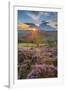 View of flowering heather on Stanage Edge and Hope Valley at sunset, Hathersage-Frank Fell-Framed Photographic Print