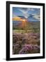 View of flowering heather on Stanage Edge and Hope Valley at sunset, Hathersage-Frank Fell-Framed Photographic Print