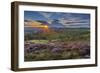 View of flowering heather on Stanage Edge and Hope Valley at sunset-Frank Fell-Framed Photographic Print