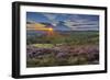 View of flowering heather on Stanage Edge and Hope Valley at sunset-Frank Fell-Framed Photographic Print