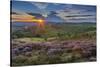 View of flowering heather on Stanage Edge and Hope Valley at sunset-Frank Fell-Stretched Canvas