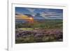 View of flowering heather on Stanage Edge and Hope Valley at sunset-Frank Fell-Framed Photographic Print