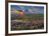 View of flowering heather on Stanage Edge and Hope Valley at sunset-Frank Fell-Framed Photographic Print