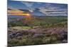 View of flowering heather on Stanage Edge and Hope Valley at sunset-Frank Fell-Mounted Photographic Print