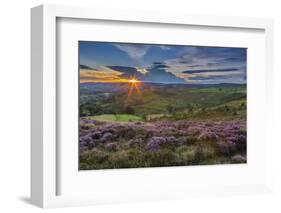 View of flowering heather on Stanage Edge and Hope Valley at sunset-Frank Fell-Framed Photographic Print