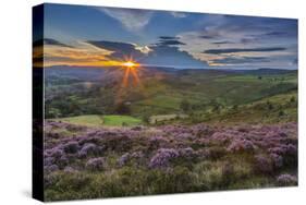 View of flowering heather on Stanage Edge and Hope Valley at sunset-Frank Fell-Stretched Canvas