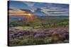 View of flowering heather on Stanage Edge and Hope Valley at sunset-Frank Fell-Stretched Canvas