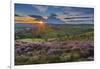 View of flowering heather on Stanage Edge and Hope Valley at sunset-Frank Fell-Framed Photographic Print