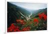 View of Flowers and Valley-Frank Johnston-Framed Photographic Print