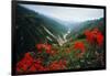 View of Flowers and Valley-Frank Johnston-Framed Photographic Print