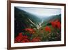 View of Flowers and Valley-Frank Johnston-Framed Photographic Print