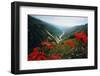 View of Flowers and Valley-Frank Johnston-Framed Photographic Print