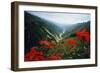 View of Flowers and Valley-Frank Johnston-Framed Photographic Print