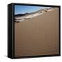 View of footprints leading over a sand dune-null-Framed Stretched Canvas