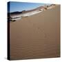 View of footprints leading over a sand dune-null-Stretched Canvas