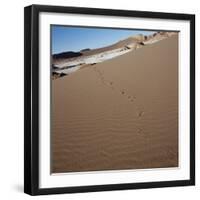 View of footprints leading over a sand dune-null-Framed Photographic Print