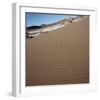 View of footprints leading over a sand dune-null-Framed Photographic Print