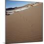 View of footprints leading over a sand dune-null-Mounted Photographic Print