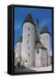 View of Fortified Chateau De Nemours, Ile-De-France, France, 12th Century-null-Framed Stretched Canvas