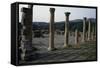 View of Forum, Roman City of Djemila-null-Framed Stretched Canvas