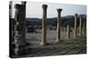 View of Forum, Roman City of Djemila-null-Stretched Canvas