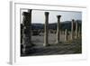 View of Forum, Roman City of Djemila-null-Framed Photographic Print