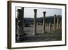 View of Forum, Roman City of Djemila-null-Framed Photographic Print