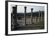 View of Forum, Roman City of Djemila-null-Framed Photographic Print