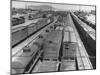 View of Freight Trains, Boxcars and Tank Cars, Standing on Tracks in Small Railroad Yard-null-Mounted Photographic Print