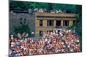 View of full bleachers, full of fans during a professional Baseball Game, Wrigley Field, Illinois-null-Mounted Photographic Print