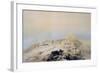 View of Giza Necropolis, 1842-1845-null-Framed Giclee Print