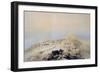 View of Giza Necropolis, 1842-1845-null-Framed Giclee Print