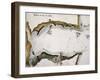 View of Goa-null-Framed Giclee Print