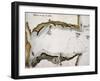 View of Goa-null-Framed Giclee Print